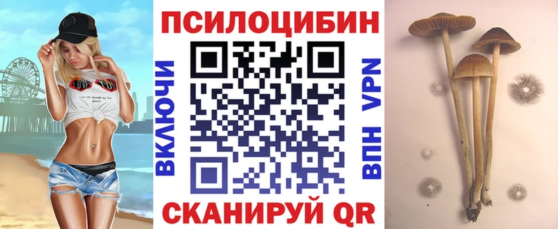 Галлюциногенные грибы Magic Shrooms  Староминская 